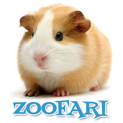 ZOOFARI