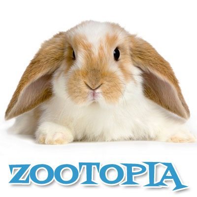 ZOOTOPIA
