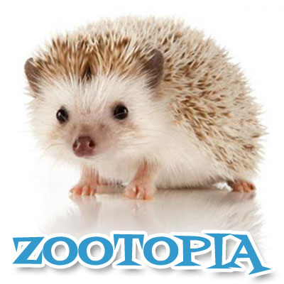 ZOOTOPIA