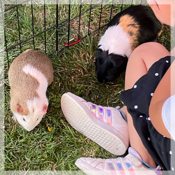 GUINEA