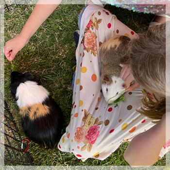 PIGGLETS