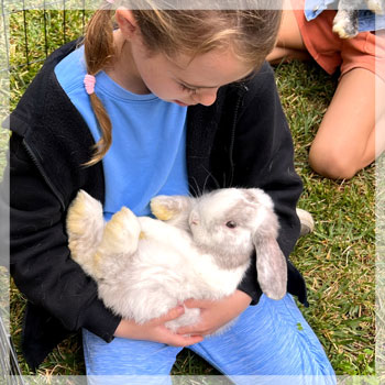 BUNNY