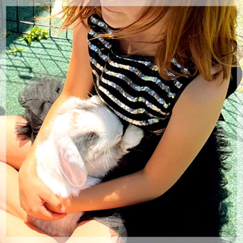 BUNNY