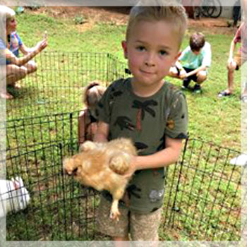 zoo